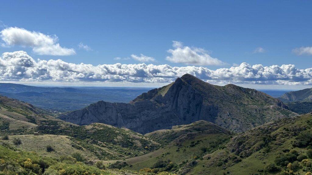 pico cerroso